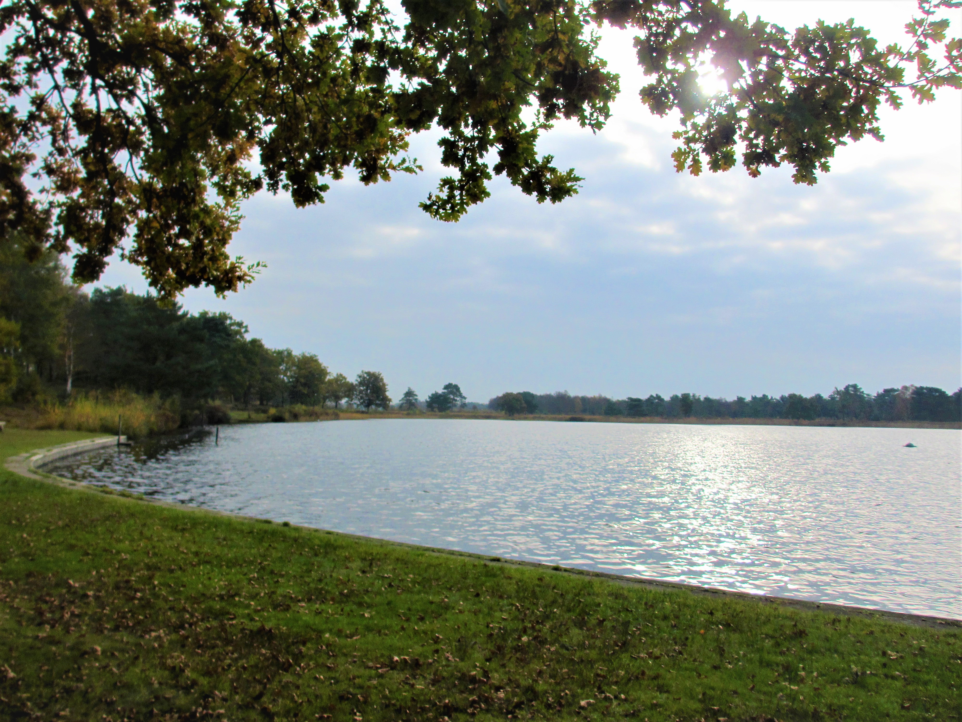 Der See